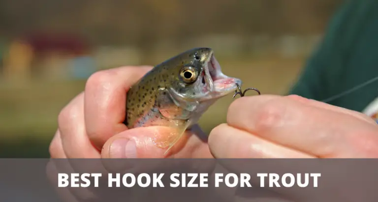 The Best Hook Size For Trout (For Every Situation)