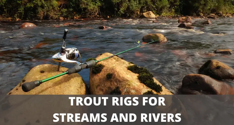 Trout Fishing Rigs For Streams And Rivers (Top 3 Setups)