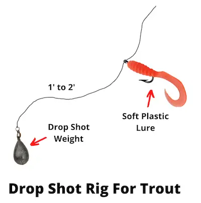 Drop shot rig for trout