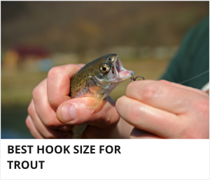 Hook size for trout