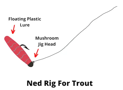 Ned rig for trout