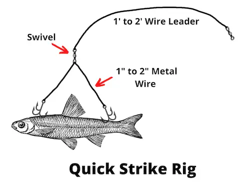 Quick strike rig diagram