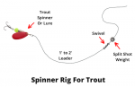 Trout Fishing Rigs (9 Setups You Need To Know)