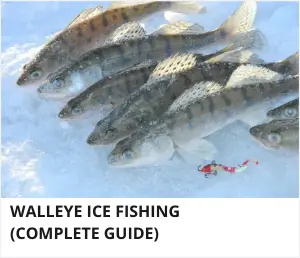 Walleye ice fishing