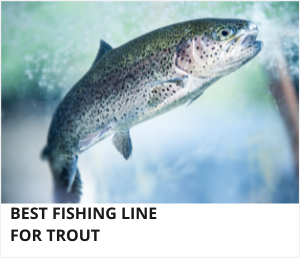Best trout fishing line