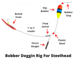 Rigging For Steelhead Bank Fishing (9 Top Rigs With Pictures)