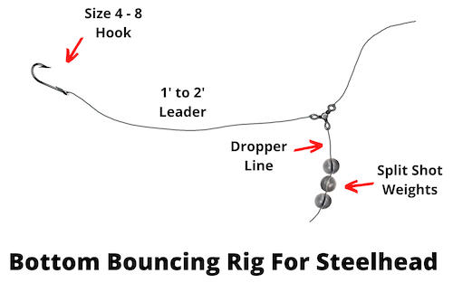 Bottom bouncing rig for steelhead