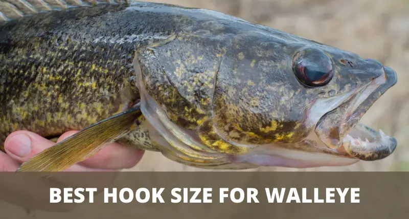 call of the wild the angler walleye hook size