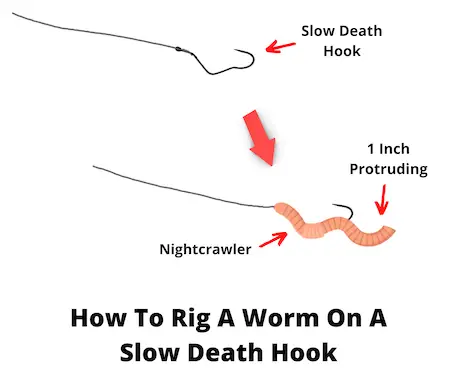 How to rig a worm on a slow death hook