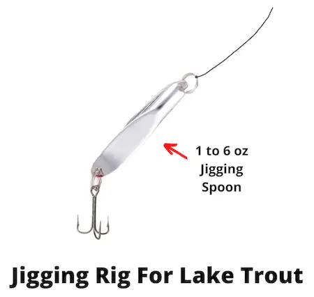 Jigging rig for lake trout