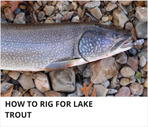 Lake trout rigs