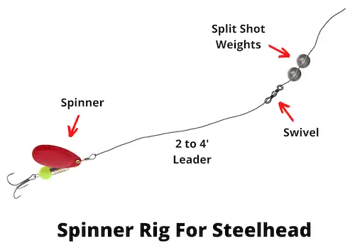 Spinner rig for steelhead