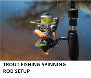Trout fishing spinning setup