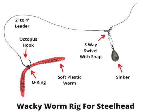 Wacky worm rig for steelhead