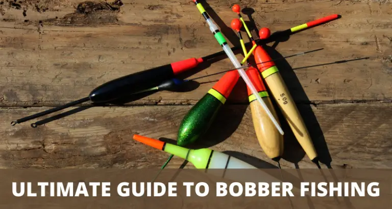 the-ultimate-bobber-fishing-guide-with-pictures