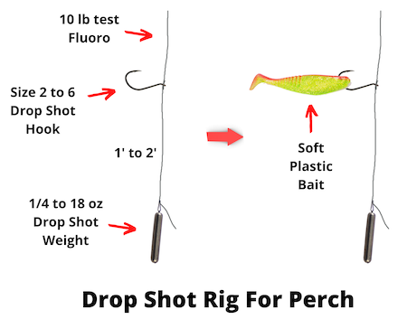 Drop shot rig for perch