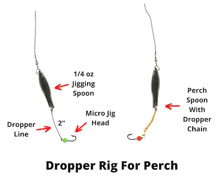 Dropper rig for perch