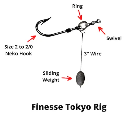 Finesse Tokyo rig