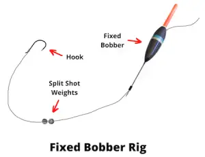 The Ultimate Bobber Fishing Guide (With Pictures)