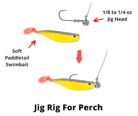Jig rig for perch