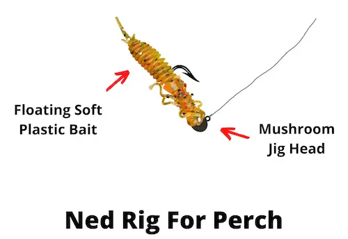 Ned rig for perch