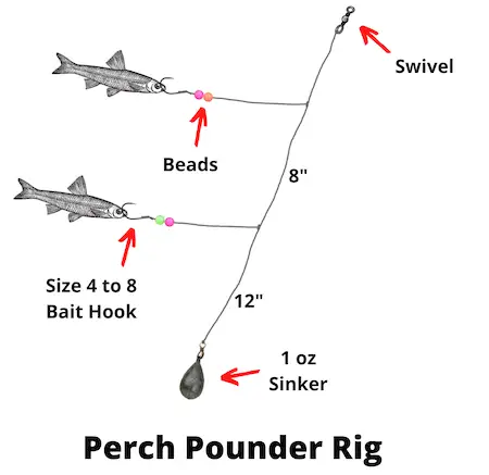 Perch pounder rig