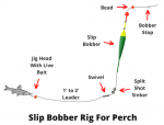 Ice Fishing Rigs For Perch (Detailed Guide With Pictures)