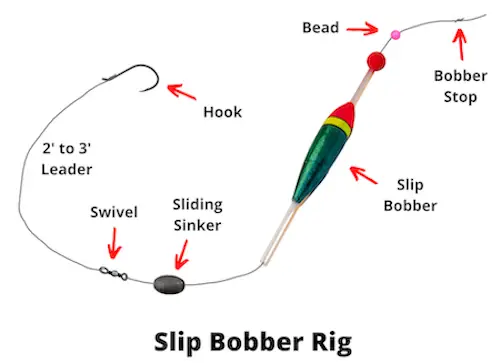 Slip bobber rig diagram