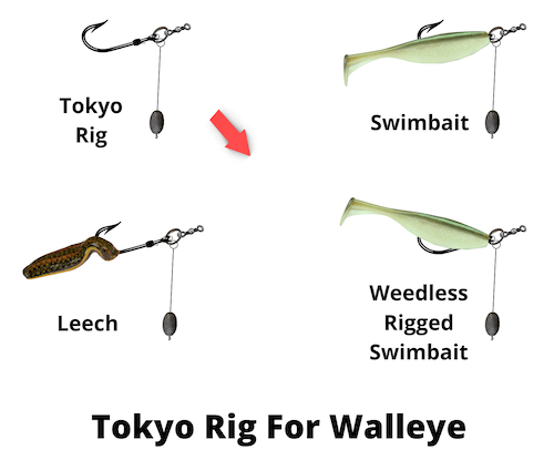 Tokyo rig for walleye diagram