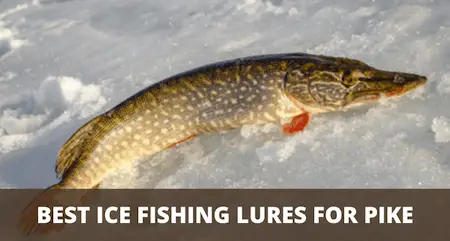 ice fishing pike underwater camera