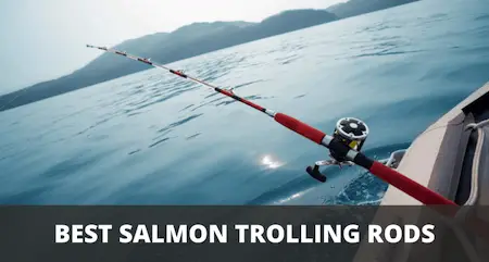 7 Best Salmon Trolling Rods (2023 Review & Buyer's Guide)