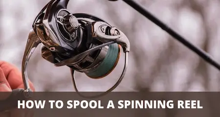 Spooling a spinning reel