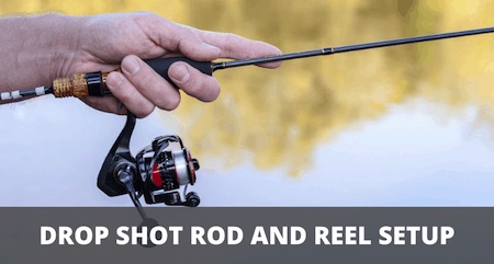 Cover image Drop shot rod and reel setup Best Drop Shot Rod And Reel Setup (Explained)
