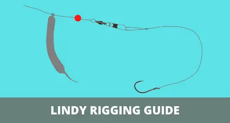 Walleye fishing tips | Page 2 | GON Forum