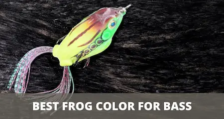 Best frog color for bass