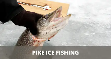 ice fishing pike underwater camera