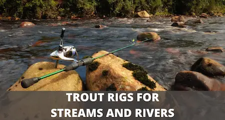 Cover image trout rigs for streams and rivers The 3 Best Trout Fishing Rigs For Rivers And Streams (With Pictures)