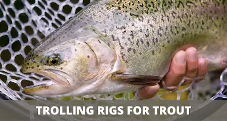 Trolling for trout setup (rigging guide)
