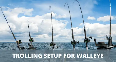 Walleye trolling setup