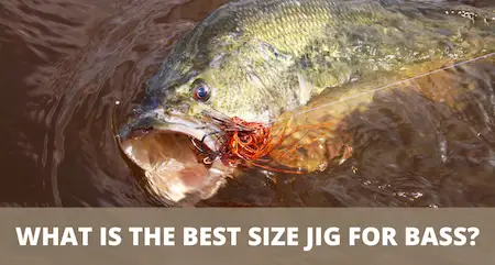 Jig sizes for bass