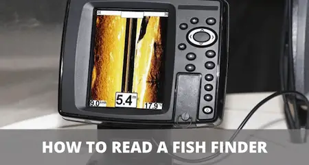 How to read a fish finder