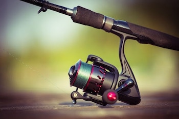 Photo of spinning reel attached to rod