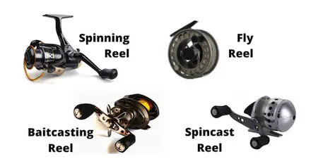 Picture showing 4 types of fishing reels with their name