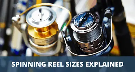 Spinning reel sizes explained
