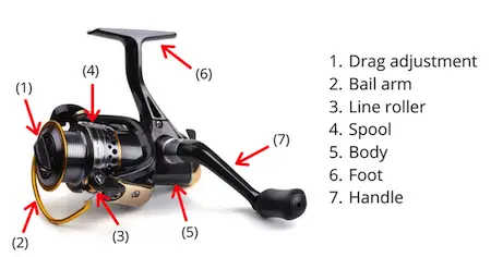 Spinning reel parts diagram