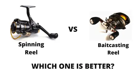 Photo of spinning reel vs baitcaster