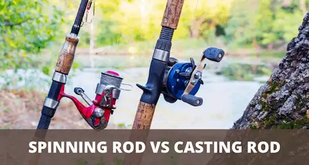 Spinning rod vs casting rod