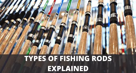 yacht fishing rods