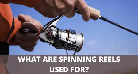 Best NEW Spinning Reel Under $150 