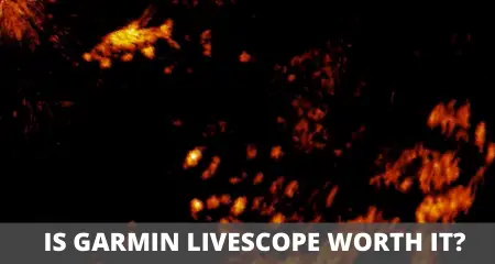 Is garmin livescope worth it